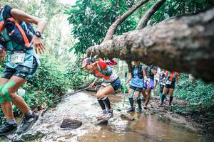 BIB: 
                            <button type="button" onclick="openModal(25372666)" class="btn btn-primary btn-sm float-right btn-popup" data-toggle="modal" data-target=".modal-high-quality">
                        <i class="fas fa-shopping-cart"></i> Add to Cart
                    </button>
                                            <button type="button" onclick="isThisMe(25372666, true)" class="btn btn-success btn-sm float-right btn-popup btn-isme hidden" data-toggle="tooltip" data-placement="bottom" title="นี่คือรูปของคุณใช่ไหม คลิกที่นี่เพื่อเอาเข้าอัลบั้ม">
                        <i class="fas fa-plus"></i> Add to album
                    </button>
                    <button type="button" onclick="isThisMe(25372666, false)" class="btn btn-warning btn-sm float-right btn-popup btn-isnotme hidden">
                        <i class="fas fa-ban"></i> Remove from album
                    </button>